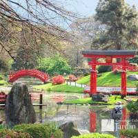 Jardín Japonés