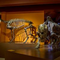 Museo Bernardino Rivadavia