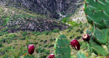Agua Fria National Monument