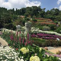 Tucson Botanical Gardens