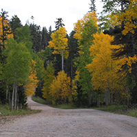 Kaibab National Forest