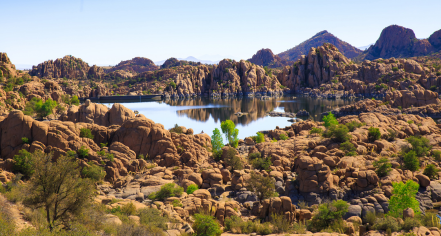 Prescott National Forest