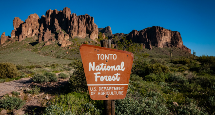Tonto National Forest