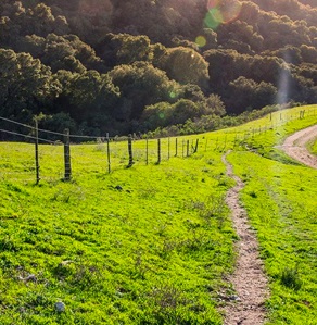 Image Of Juan Bautista De Anza Trail, Historic Hotels Of America