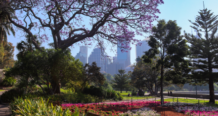 Royal Botanic Garden Sydney