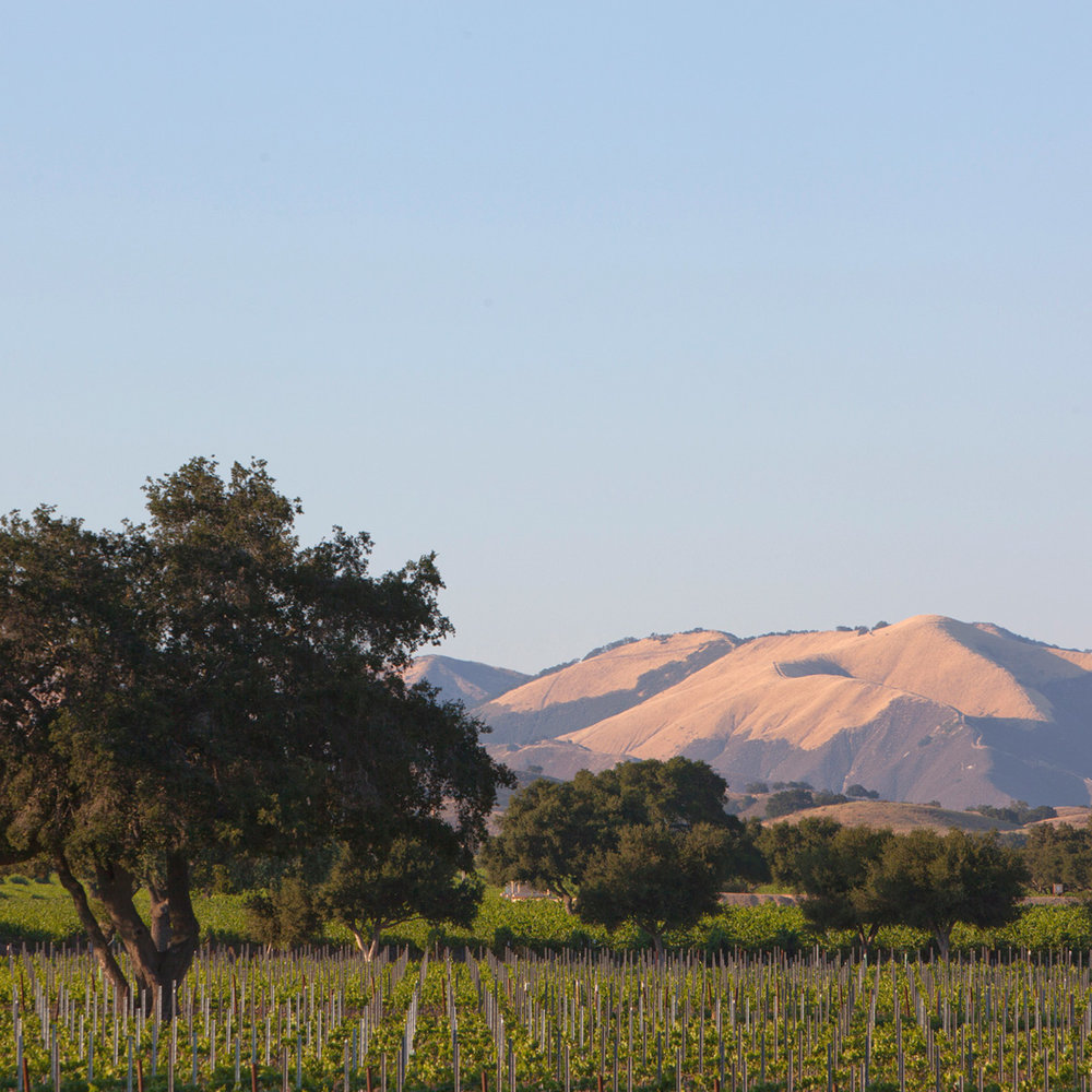 Image Of Foxen Canyon Wine Trail, Historic Hotels Of America