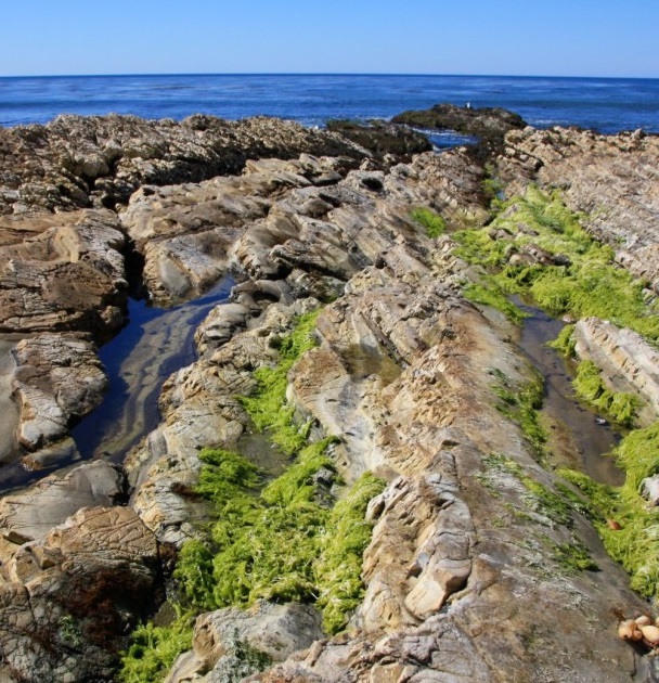 Image Of Spyglass Beach Tide Pools, Historic Hotels Of America