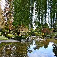 Japanese Friendship Garden Of San Jose