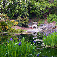 University Of California Botanical Garden At Berkeley