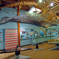 Cabrillo Marine Aquarium