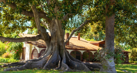 Rancho Los Alamitos Historic Ranch And Gardens