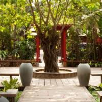 Тheam's House Gallery