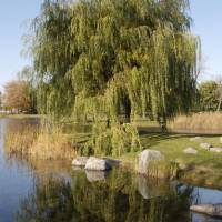 Parc Jarry (Jarry Park)