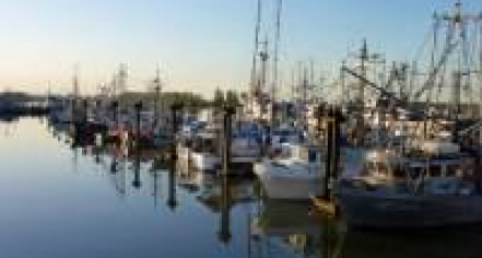 Steveston Harbour