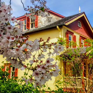 Lewis Latimer House Museum