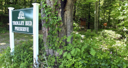 Image Of Trolley Bed Preserve, Historic Hotels Of America