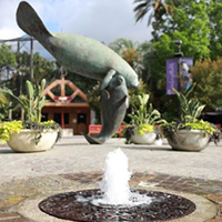 ZooTampa At Lowry Park