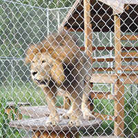 The Catty Shack Ranch Wildlife Sanctuary