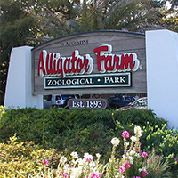St. Augustine Alligator Farm Zoological Park