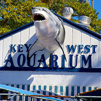 Key West Aquarium