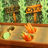 Great Explorations Children's Museum