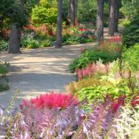 Parc Floral De Paris