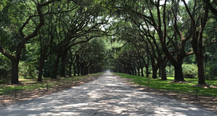 Image Of Wormsloe Historic Site, Historic Hotels Of America