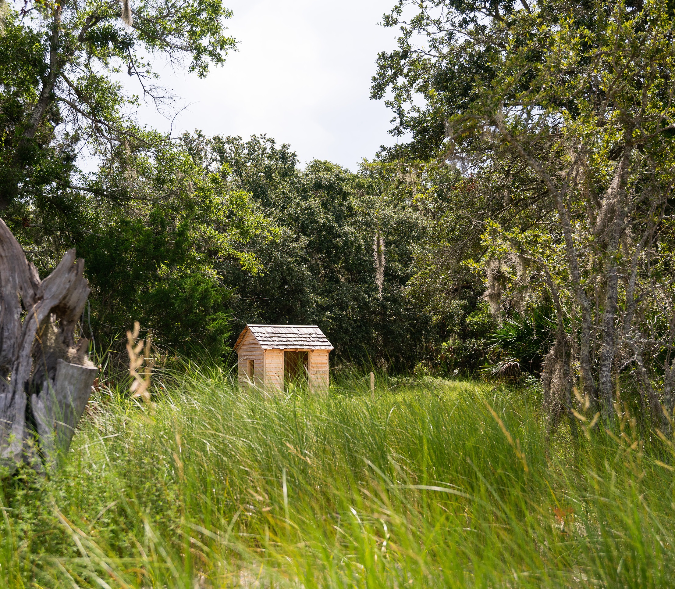 The Wanderer Memorial
