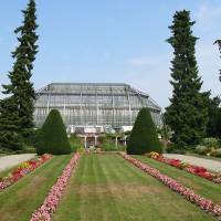 Botanischer Garten Und Botanisches Museum