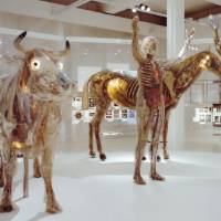 Deutsches Hygiene-Museum