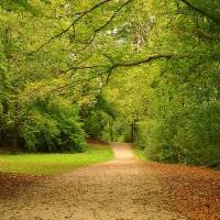 Englischer Garten (English Garden)