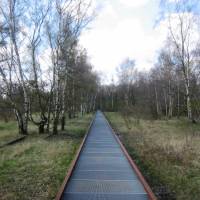 Naturpark Schöneberger Südgelände