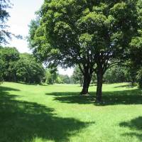 Volkspark Hasenheide