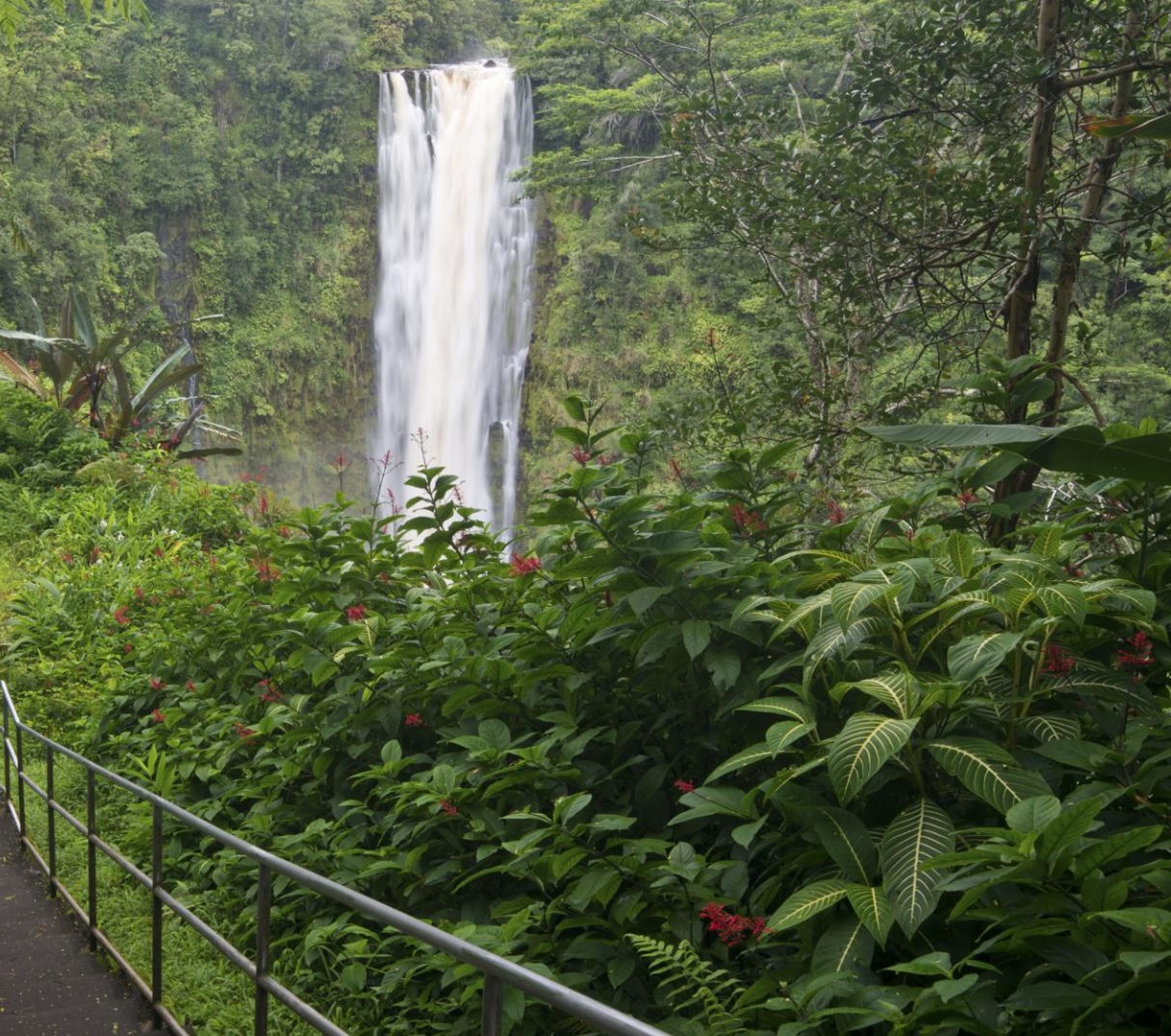Akaka Falls State Park