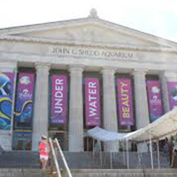 Shedd Aquarium
