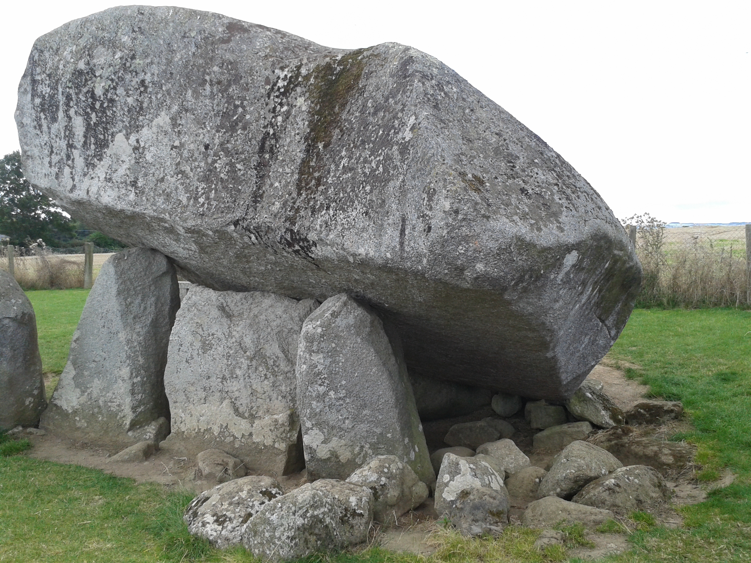Brownshill Portal Tomb (Dolmen)