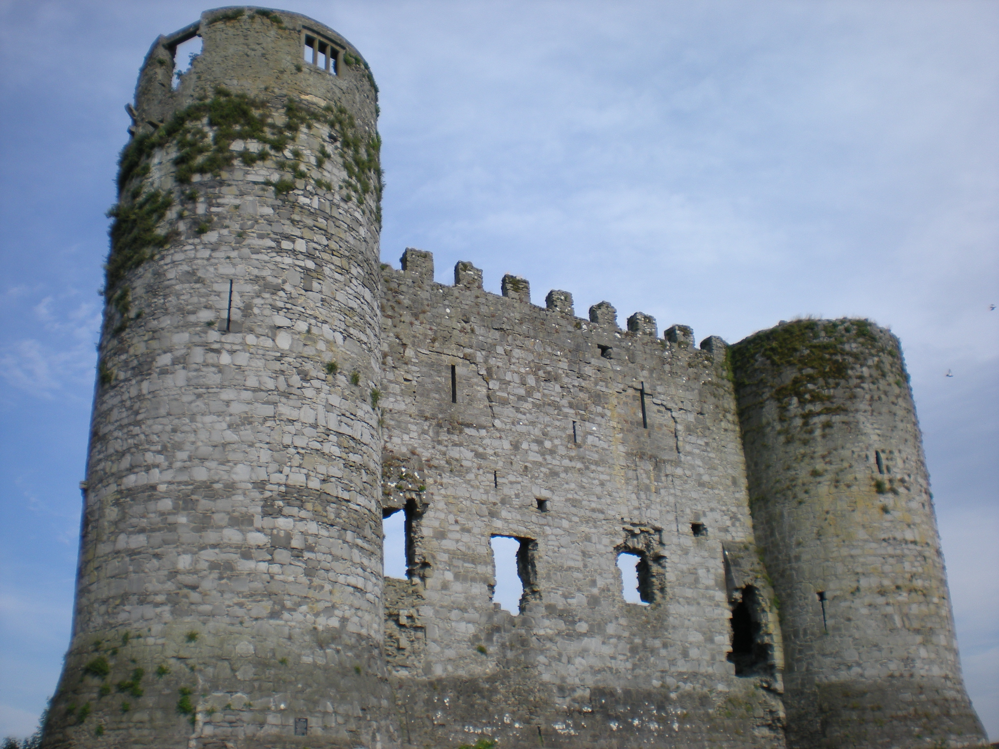 Carlow Castle (Caisleán Cheatharlach)