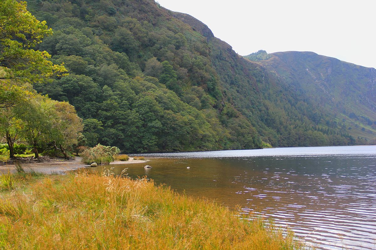 Wicklow Mountains National Park