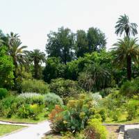Orto Botanico Dell'Università Di Roma 