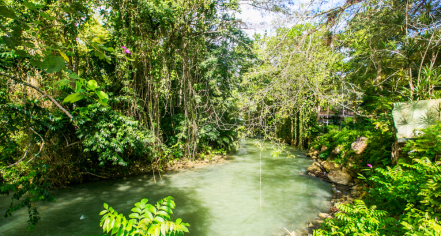 Martha Brae Rafting Village