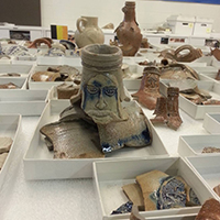 William S. Webb Museum Of Anthropology