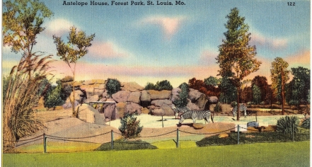 Saint Louis Zoo