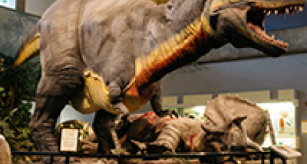 Saint Louis Science Center