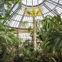 Hortus Botanicus Amsterdam