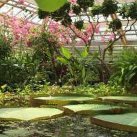 Hortus Botanicus Leiden