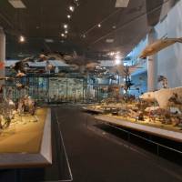 Naturalis Biodiversity Center