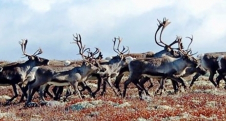 Image Of Hardangervidda National Park, Historic Hotels Of America