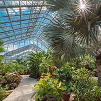 Myriad Botanical Gardens