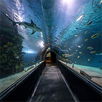 Oklahoma Aquarium