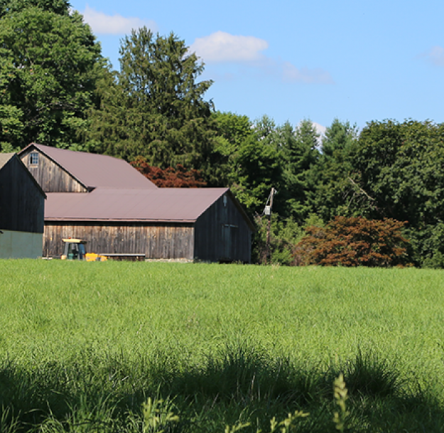 Brandywine Battlefield